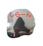ryugen...2（個別スタンプ：1）