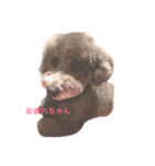 ちろーず（個別スタンプ：2）