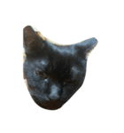 cute..cat（個別スタンプ：4）