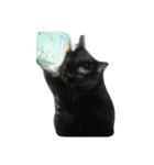 cute..cat（個別スタンプ：8）