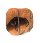ぺぺらっちょとクロの日常編（個別スタンプ：10）