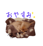 鈴木家の愉快なわんこたち1（個別スタンプ：6）