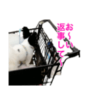 パピヨン犬ラテ君の日常（個別スタンプ：15）