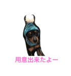 jig. wap（個別スタンプ：7）