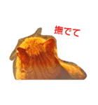 Street cats（個別スタンプ：9）