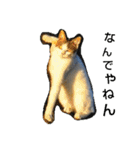 Street cats（個別スタンプ：14）