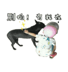 Qin Ting second round（個別スタンプ：24）
