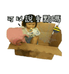 Qin Ting second round（個別スタンプ：40）