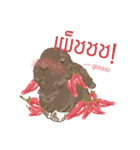 Neutrino and Boson Thai ver.（個別スタンプ：2）