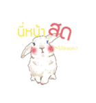 Neutrino and Boson Thai ver.（個別スタンプ：17）