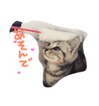 僕はテトです。（個別スタンプ：5）
