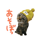 ニアと愉快なお友達2（個別スタンプ：2）