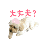 ニアと愉快なお友達2（個別スタンプ：11）