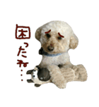 ニアと愉快なお友達2（個別スタンプ：12）