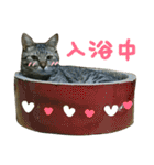 ニアと愉快なお友達2（個別スタンプ：19）