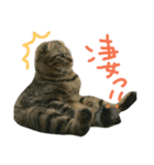 ニアと愉快なお友達2（個別スタンプ：23）