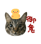 ニアと愉快なお友達2（個別スタンプ：24）