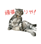 ニアと愉快なお友達2（個別スタンプ：25）