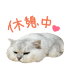 ニアと愉快なお友達2（個別スタンプ：33）