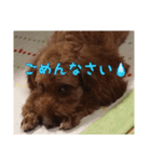 海と陸2（個別スタンプ：6）