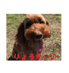 海と陸2（個別スタンプ：7）
