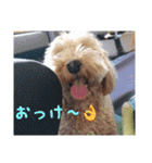 海と陸2（個別スタンプ：9）