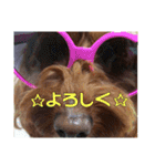 海と陸2（個別スタンプ：11）