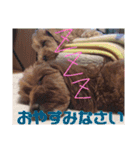 海と陸2（個別スタンプ：13）