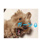 海と陸2（個別スタンプ：19）