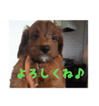 海と陸2（個別スタンプ：21）
