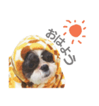 ぶん太スタンプ（個別スタンプ：1）
