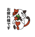 三毛猫のオス 「さんこ」（個別スタンプ：6）