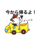三毛猫のオス 「さんこ」（個別スタンプ：8）