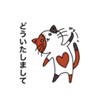 三毛猫のオス 「さんこ」（個別スタンプ：16）