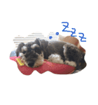 ウィンすたんぷ（個別スタンプ：2）