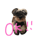 ウィンすたんぷ（個別スタンプ：9）