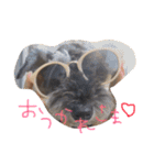 ウィンすたんぷ（個別スタンプ：24）