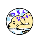 柴犬のモチ君（個別スタンプ：2）