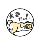 柴犬のモチ君（個別スタンプ：7）