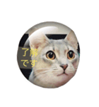 お返事、ねこ（個別スタンプ：2）