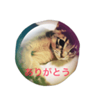 お返事、ねこ（個別スタンプ：4）