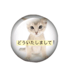 お返事、ねこ（個別スタンプ：7）