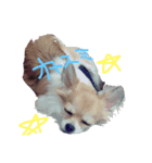 potetooooo（個別スタンプ：2）