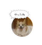 はなとチュッちゃん1（個別スタンプ：1）