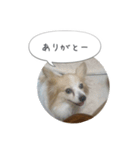 はなとチュッちゃん1（個別スタンプ：2）