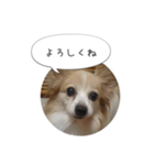 はなとチュッちゃん1（個別スタンプ：3）
