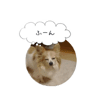 はなとチュッちゃん1（個別スタンプ：4）