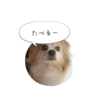 はなとチュッちゃん1（個別スタンプ：10）