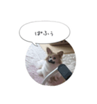 はなとチュッちゃん1（個別スタンプ：13）