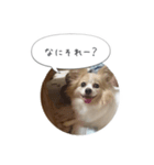 はなとチュッちゃん1（個別スタンプ：16）